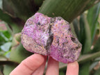 Natural Stichtite Specimens x 12 From Barberton, South Africa - Toprock Gemstones and Minerals 