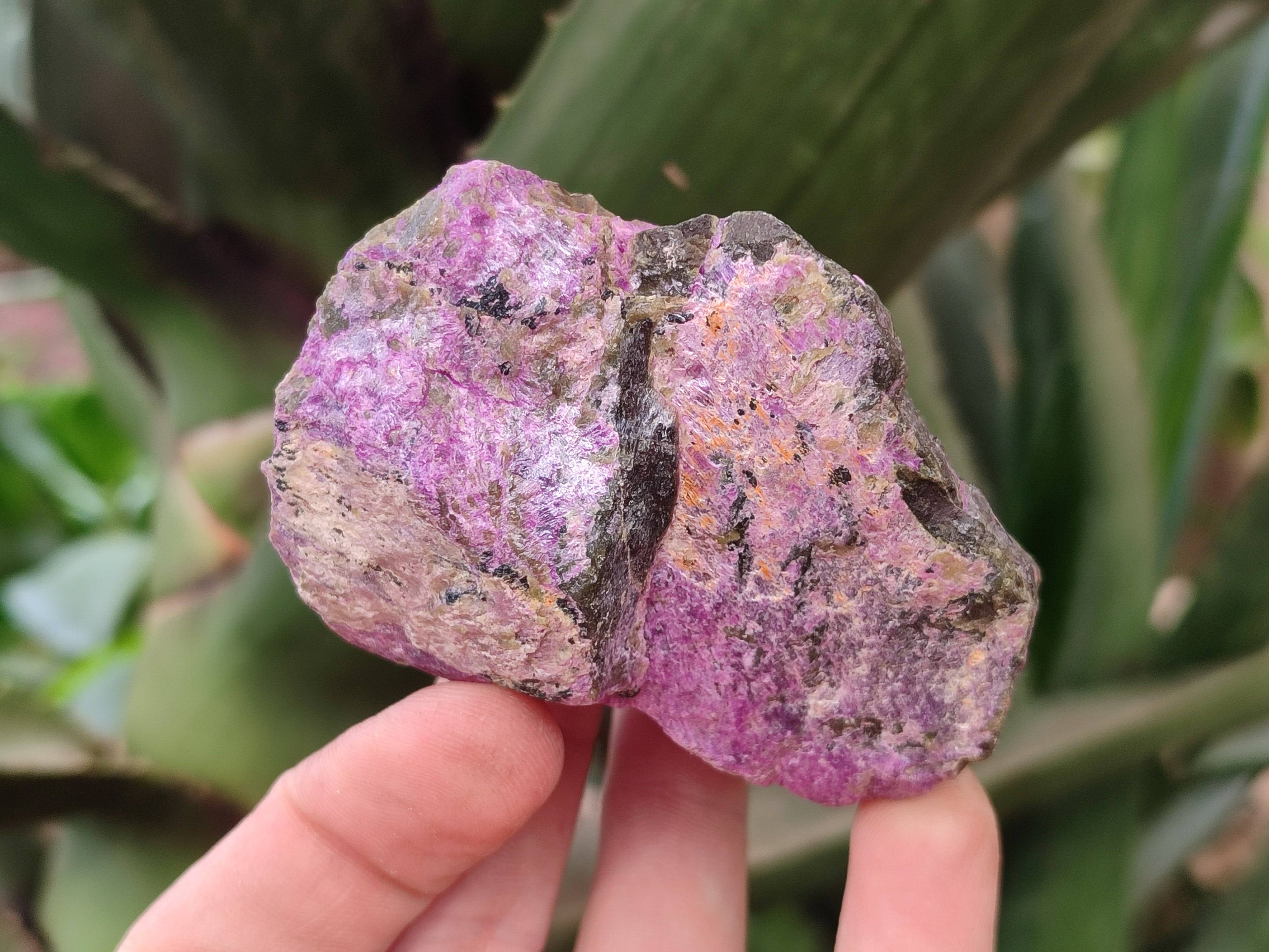 Natural Stichtite Specimens x 12 From Barberton, South Africa - Toprock Gemstones and Minerals 