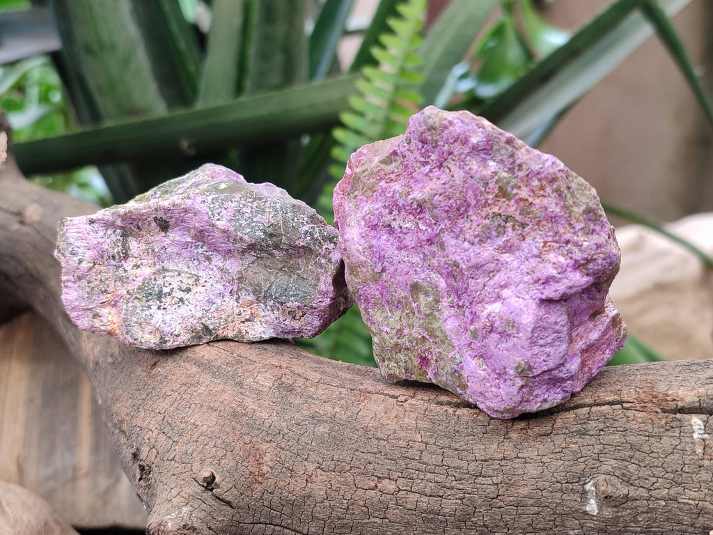 Natural Stichtite Specimens x 12 From Barberton, South Africa - Toprock Gemstones and Minerals 