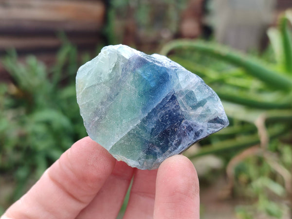 Natural Watermelon Fluorite Cobbed Specimens x 35 From Namibia