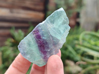 Natural Watermelon Fluorite Cobbed Specimens x 35 From Namibia - Toprock Gemstones and Minerals 