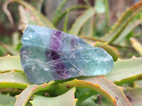 Natural Watermelon Fluorite Cobbed Specimens x 35 From Namibia - Toprock Gemstones and Minerals 