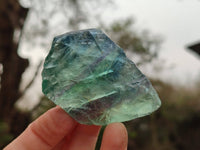 Natural Watermelon Fluorite Cobbed Specimens x 35 From Namibia - Toprock Gemstones and Minerals 