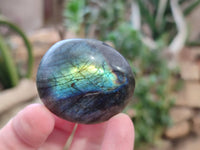 Polished Labradorite Palm Stones x 20 From Tulear, Madagascar - Toprock Gemstones and Minerals 