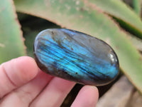 Polished Labradorite Palm Stones x 20 From Tulear, Madagascar - Toprock Gemstones and Minerals 