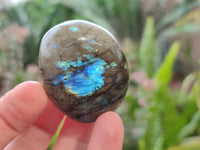 Polished Labradorite Palm Stones x 20 From Tulear, Madagascar - Toprock Gemstones and Minerals 
