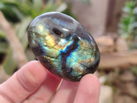 Polished Labradorite Palm Stones x 20 From Tulear, Madagascar - Toprock Gemstones and Minerals 
