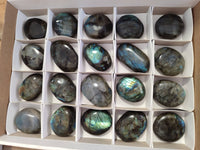 Polished Labradorite Palm Stones x 20 From Tulear, Madagascar - Toprock Gemstones and Minerals 