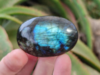 Polished Labradorite Palm Stones x 20 From Tulear, Madagascar - Toprock Gemstones and Minerals 