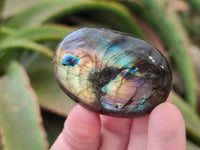 Polished Labradorite Palm Stones x 20 From Tulear, Madagascar - Toprock Gemstones and Minerals 