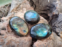 Polished Labradorite Palm Stones x 20 From Tulear, Madagascar - Toprock Gemstones and Minerals 