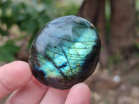 Polished Labradorite Palm Stones x 20 From Tulear, Madagascar - Toprock Gemstones and Minerals 