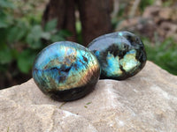 Polished Labradorite Palm Stones x 20 From Tulear, Madagascar - Toprock Gemstones and Minerals 