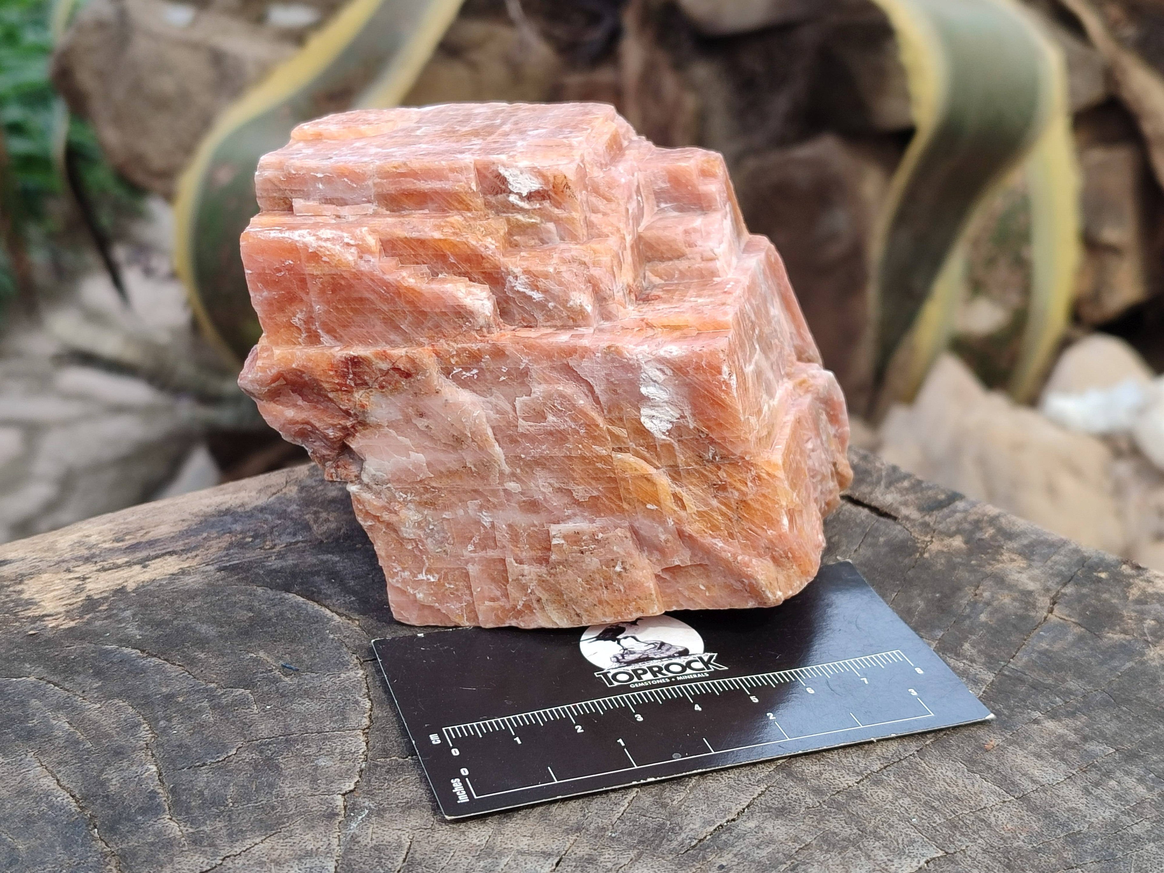 Natural Sunset Orange Calcite Specimens x 3 From Spitzkop, Namibia - Toprock Gemstones and Minerals 