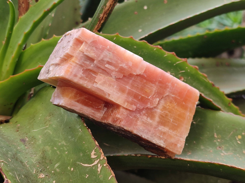 Natural Sunset Orange Calcite Specimens x 3 From Spitzkop, Namibia - Toprock Gemstones and Minerals 
