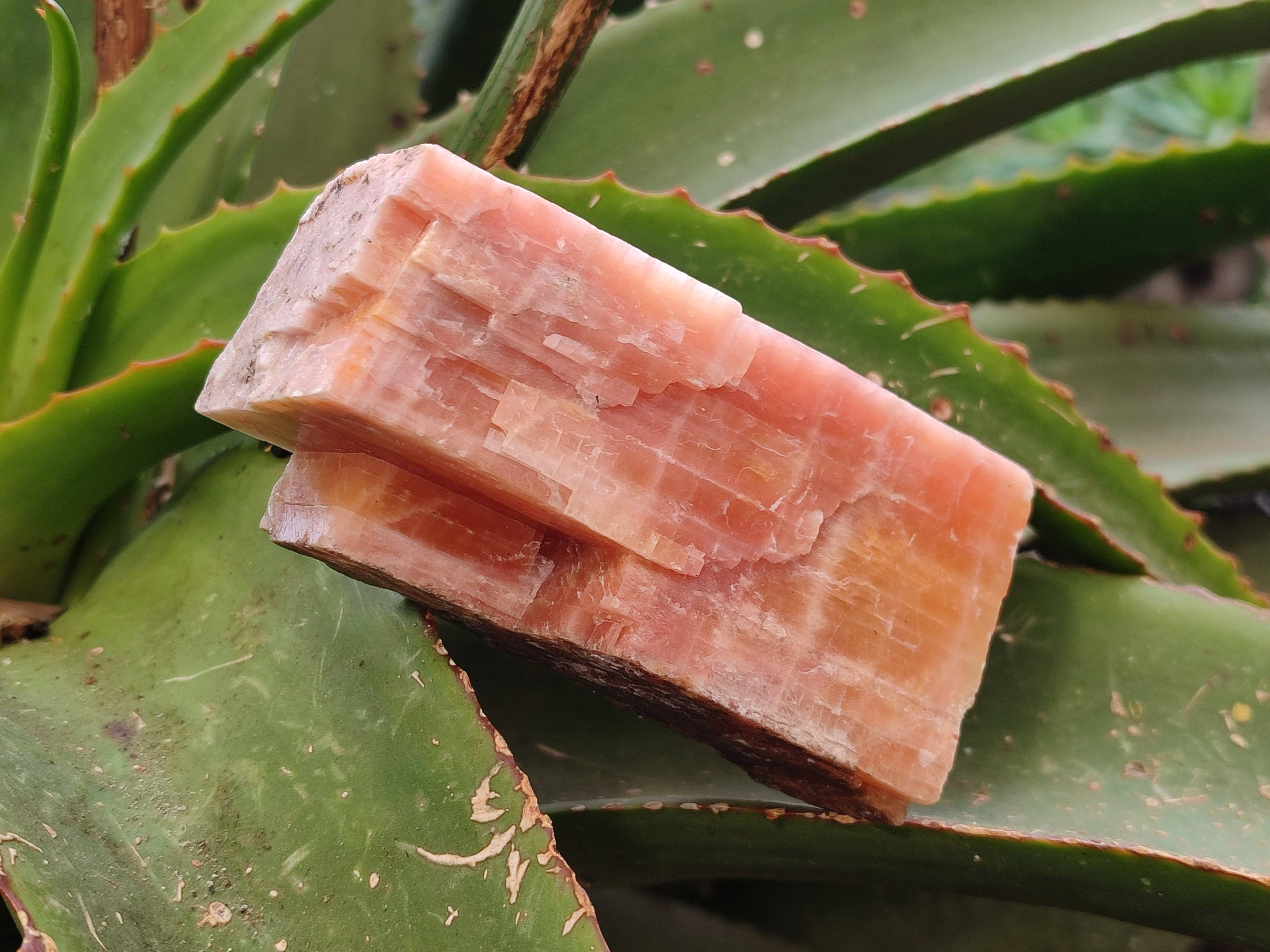 Natural Sunset Orange Calcite Specimens x 3 From Spitzkop, Namibia - Toprock Gemstones and Minerals 