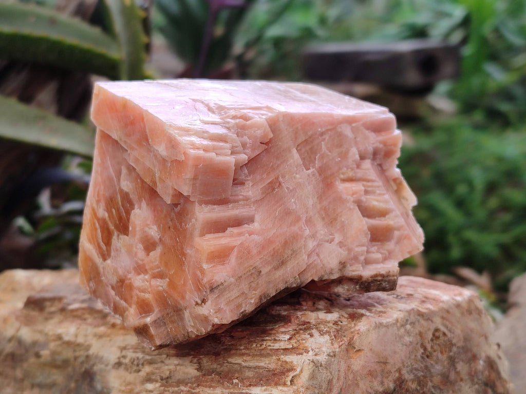 Natural Sunset Orange Calcite Specimens x 3 From Spitzkop, Namibia - Toprock Gemstones and Minerals 