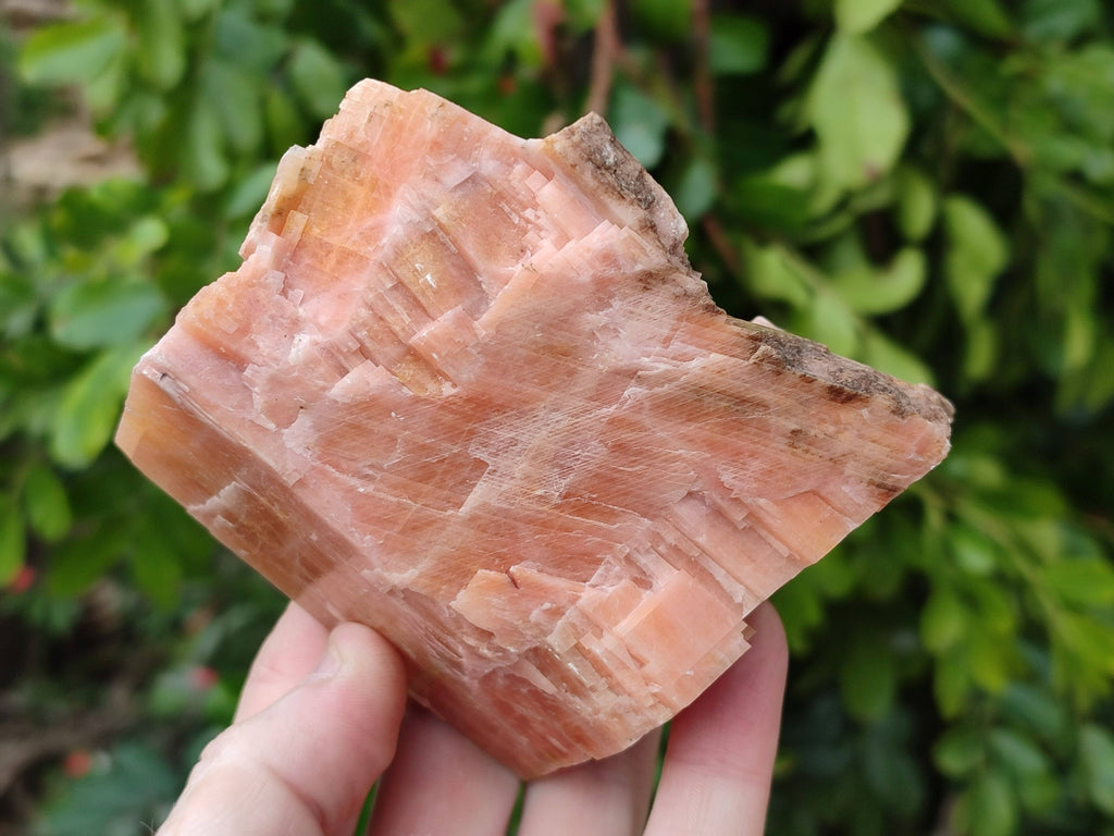 Natural Sunset Orange Calcite Specimens x 3 From Spitzkop, Namibia - Toprock Gemstones and Minerals 