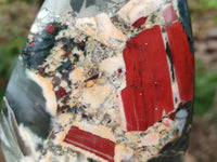 Polished Bloodstone Standing Free Forms x 2 From Swaziland