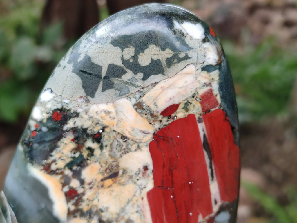 Polished Bloodstone Standing Free Forms x 2 From Swaziland - Toprock Gemstones and Minerals 