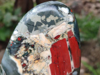 Polished Bloodstone Standing Free Forms x 2 From Swaziland