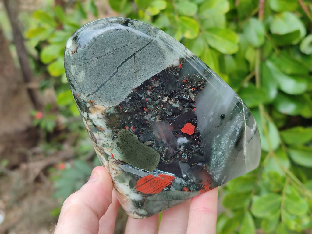 Polished Bloodstone Standing Free Forms x 2 From Swaziland - Toprock Gemstones and Minerals 