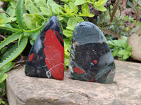 Polished Bloodstone Standing Free Forms x 2 From Swaziland