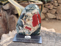Polished Bloodstone Standing Free Forms x 2 From Swaziland