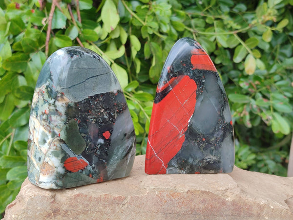 Polished Bloodstone Standing Free Forms x 2 From Swaziland