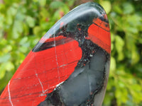 Polished Bloodstone Standing Free Forms x 2 From Swaziland