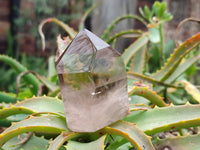 Polished Phantom Smokey Quartz Crystals x 6 From Madagascar - Toprock Gemstones and Minerals 
