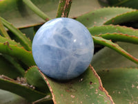 Polished Blue Calcite Spheres x 2 From Madagascar - Toprock Gemstones and Minerals 
