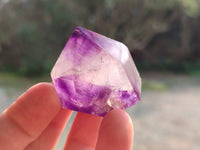 Polished Window Amethyst Crystals x 20 From Madagascar - Toprock Gemstones and Minerals 