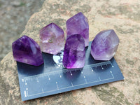 Polished Window Amethyst Crystals x 20 From Madagascar - Toprock Gemstones and Minerals 