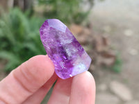 Polished Window Amethyst Crystals x 20 From Madagascar - Toprock Gemstones and Minerals 