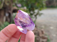 Polished Window Amethyst Crystals x 20 From Madagascar - Toprock Gemstones and Minerals 