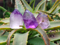 Polished Window Amethyst Crystals x 20 From Madagascar - Toprock Gemstones and Minerals 