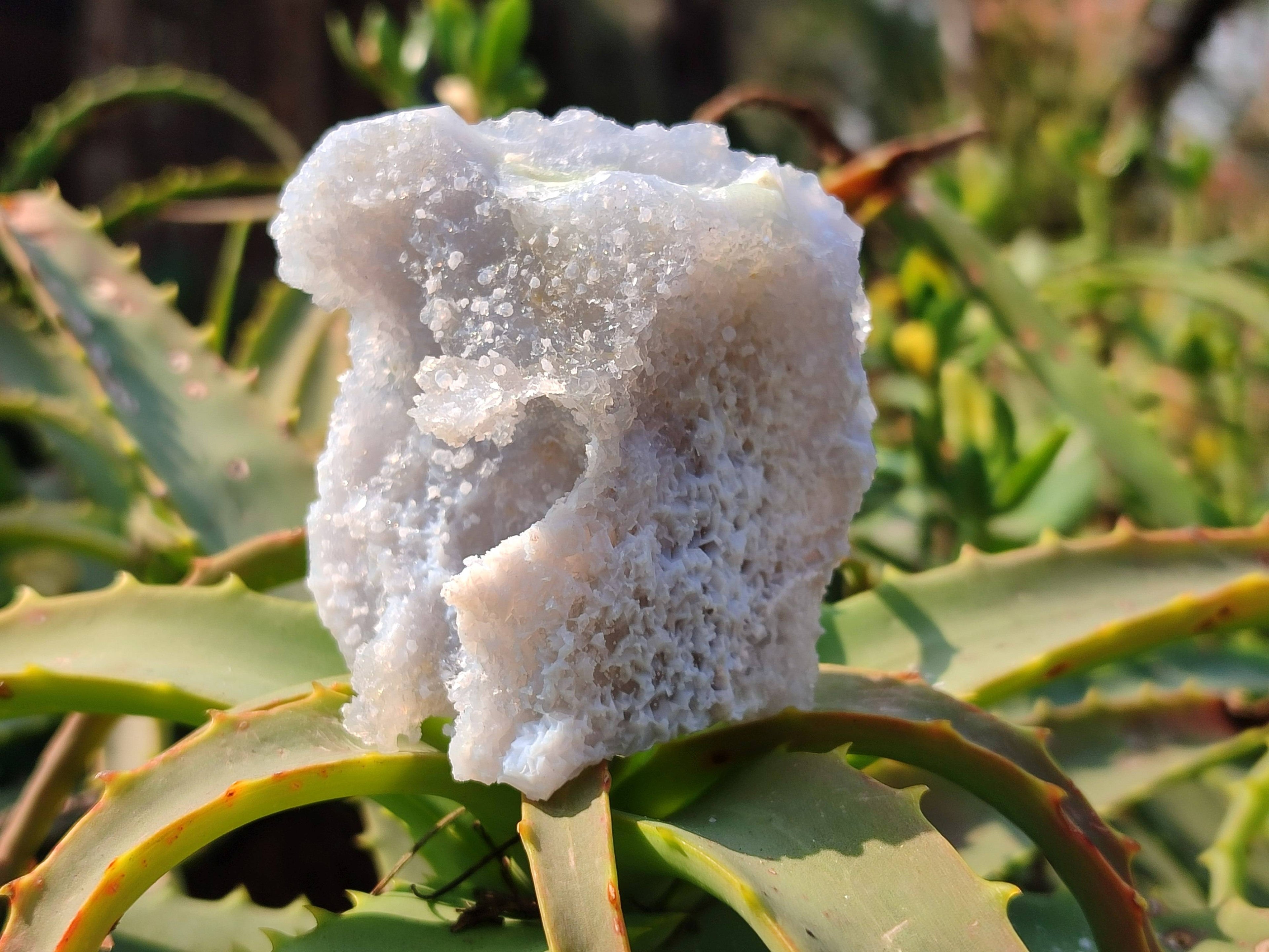 Natural Etched Blue Chalcedony Specimens x 12 From Nsanje, Malawi - Toprock Gemstones and Minerals 