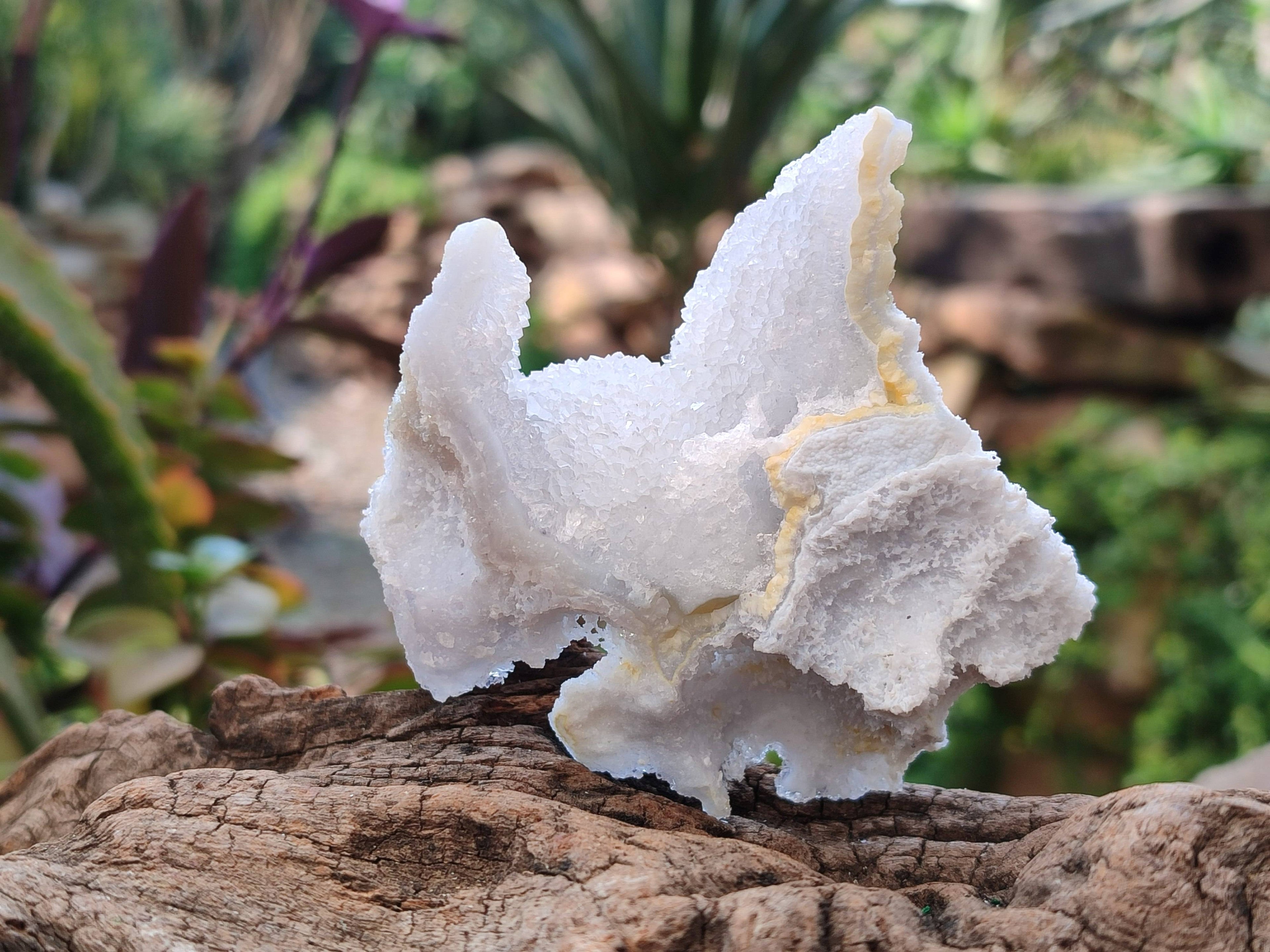 Natural Etched Blue Chalcedony Specimens x 12 From Nsanje, Malawi - Toprock Gemstones and Minerals 