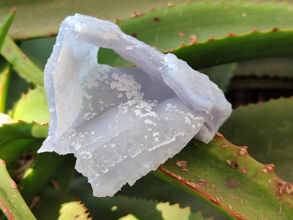 Natural Etched Blue Chalcedony Specimens x 12 From Nsanje, Malawi - Toprock Gemstones and Minerals 