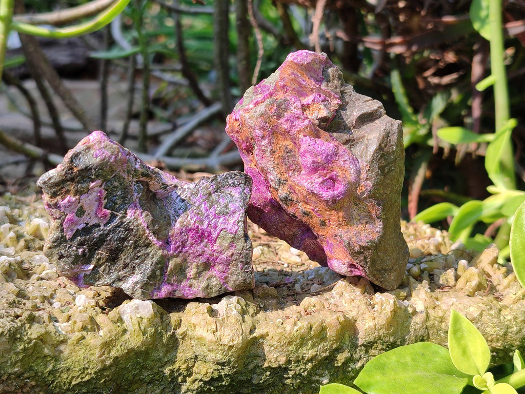 Natural Stichtite Specimens x 24 From Barberton, South Africa - Toprock Gemstones and Minerals 