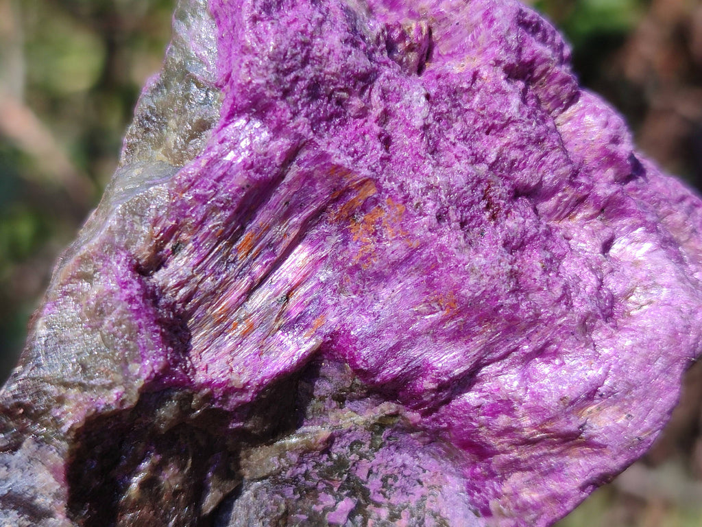 Natural Stichtite Specimens x 24 From Barberton, South Africa - Toprock Gemstones and Minerals 