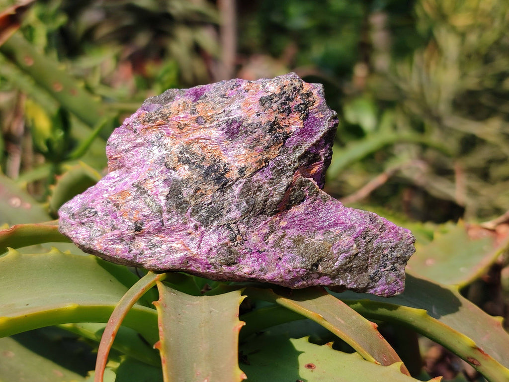Natural Stichtite Specimens x 24 From Barberton, South Africa - Toprock Gemstones and Minerals 