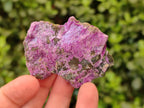Natural Stichtite Specimens x 24 From Barberton, South Africa - Toprock Gemstones and Minerals 