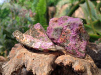 Natural Stichtite Specimens x 24 From Barberton, South Africa - Toprock Gemstones and Minerals 