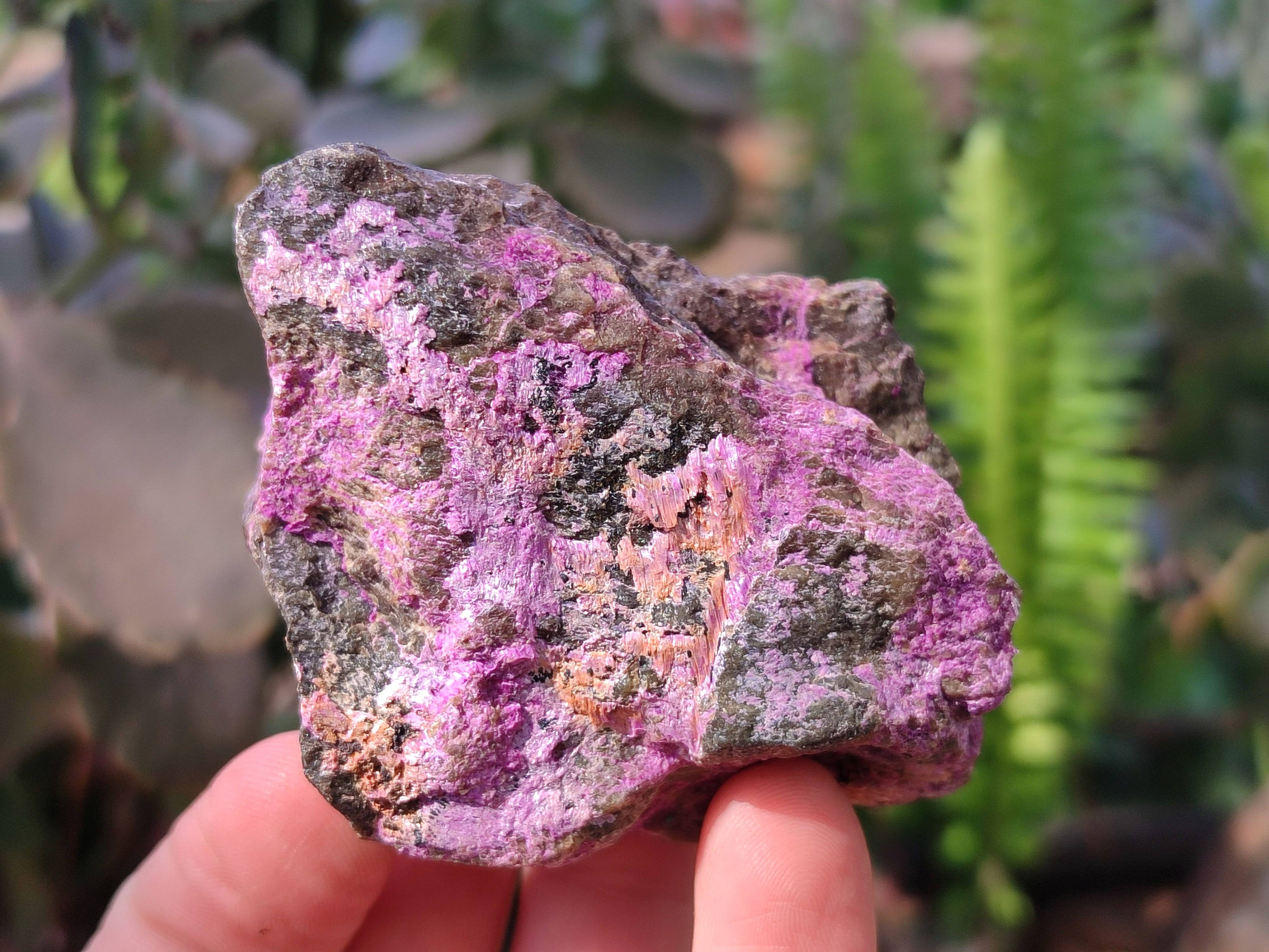 Natural Stichtite Specimens x 24 From Barberton, South Africa - Toprock Gemstones and Minerals 