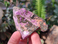 Natural Stichtite Specimens x 24 From Barberton, South Africa - Toprock Gemstones and Minerals 