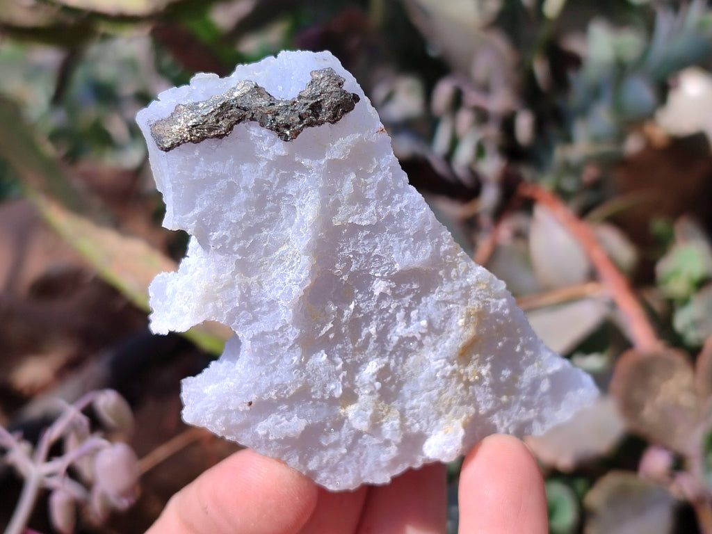 Natural Etched Blue Chalcedony Specimens x 6 From Nsanje, Malawi - Toprock Gemstones and Minerals 