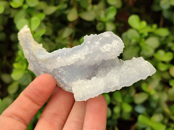 Natural Etched Blue Chalcedony Specimens x 6 From Nsanje, Malawi