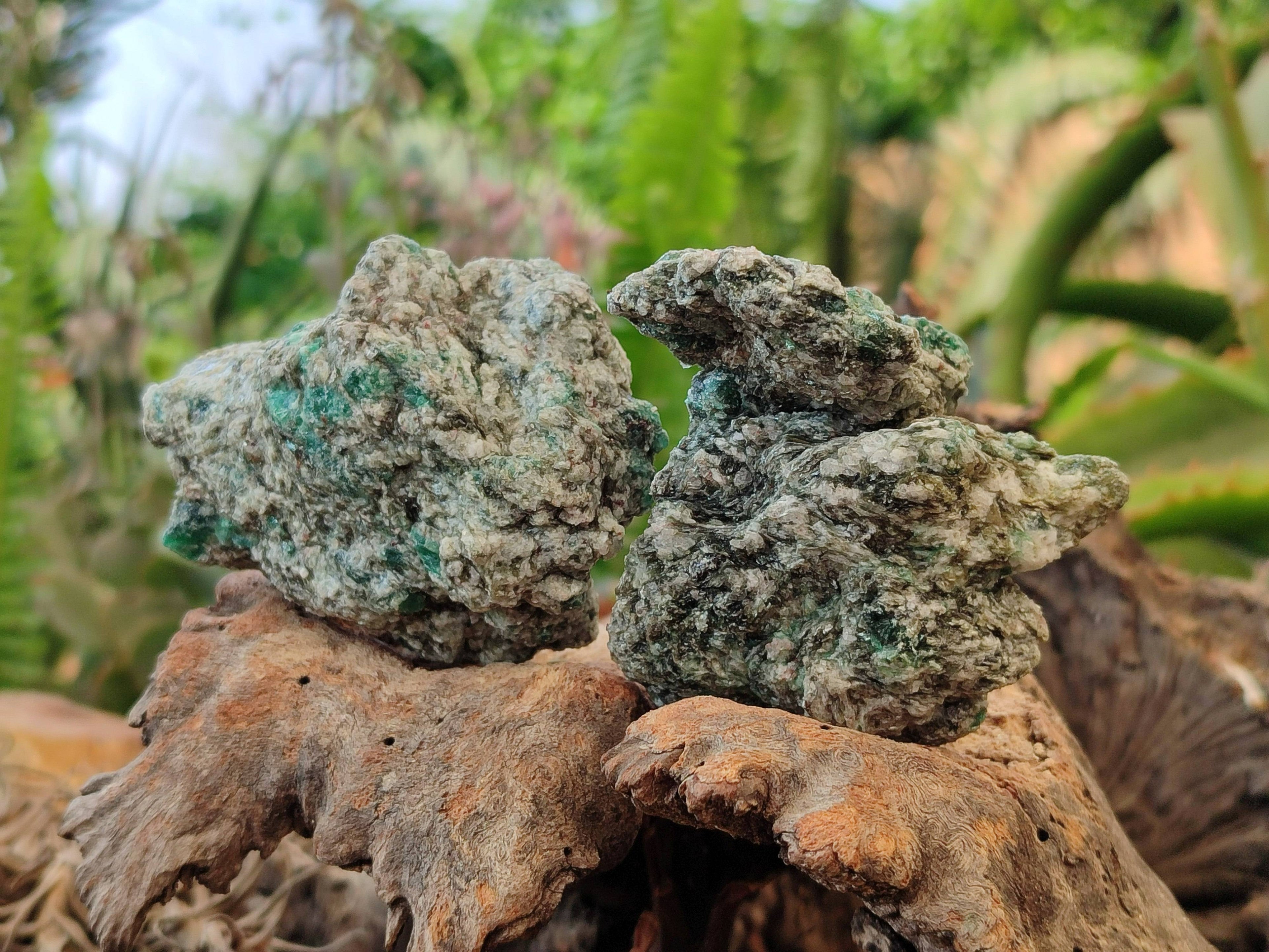 Natural Emerald Mica 'Mutokolite' Specimens x 12 From Mutoko, Zimbabwe - Toprock Gemstones and Minerals 
